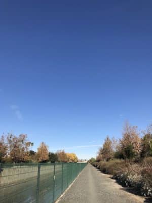 Tujunga Wash
