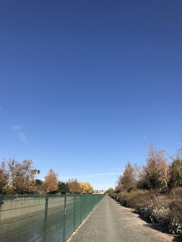 Tujunga Wash