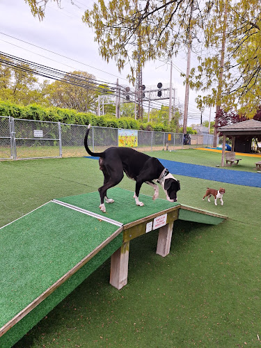 Valley Stream Dog Park (Member Only)