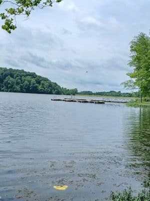 Starve-Hollow State Recreation Area