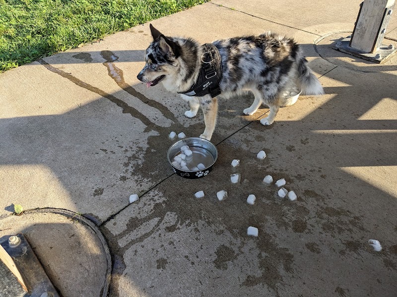 ValPAWraiso Dog Park - Valparaiso, IN