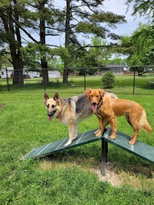 ValPAWraiso Dog Park