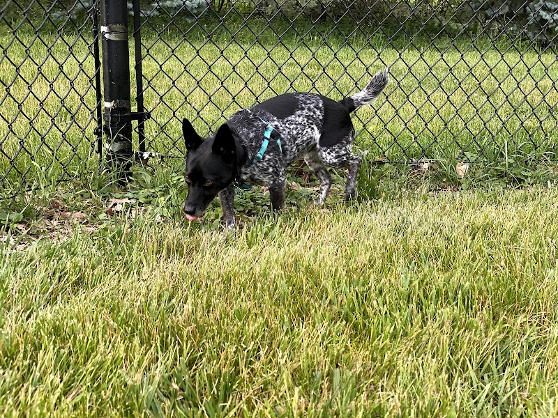 ValPAWraiso Dog Park - Valparaiso, IN