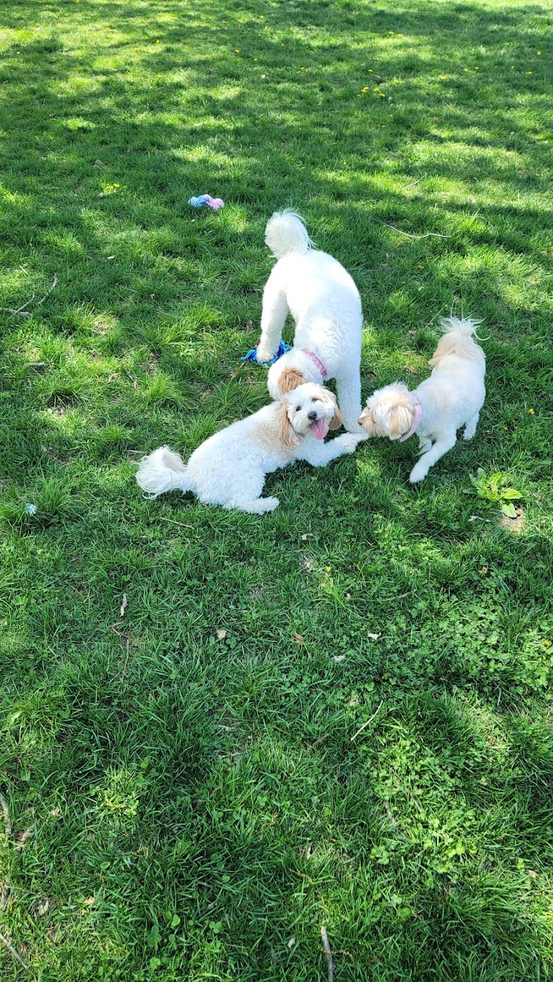 ValPAWraiso Dog Park - Valparaiso, IN