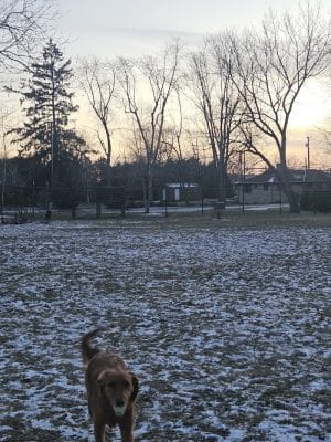 ValPAWraiso Dog Park