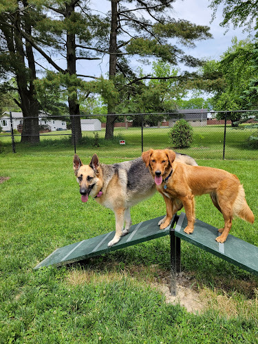 ValPAWraiso Dog Park