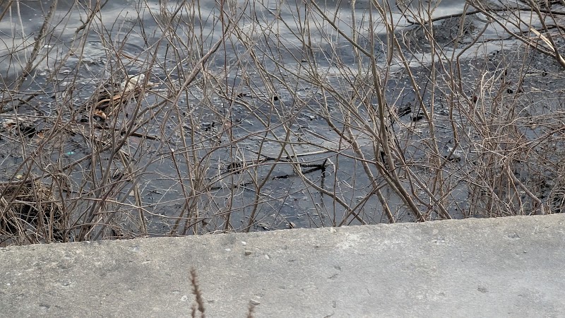 Van Buren Park - Van Buren Township,