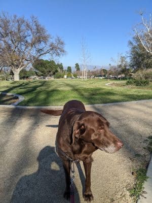 Valley Glen Community Park
