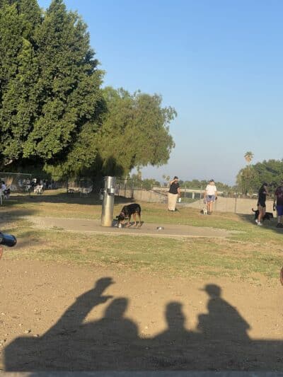 Sepulveda Basin Off-Leash Dog Park - Van Nuys, CA