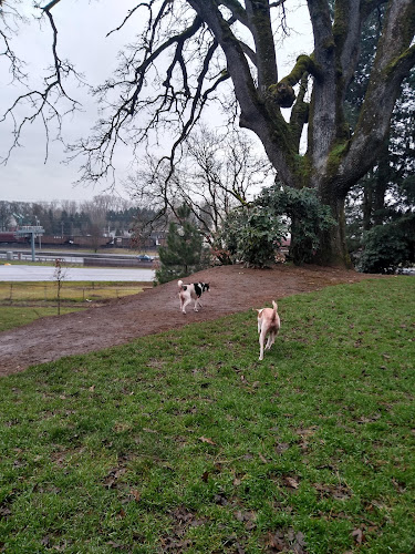 Clark County Dog Park