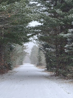 Vanderbilt Trailhead Park