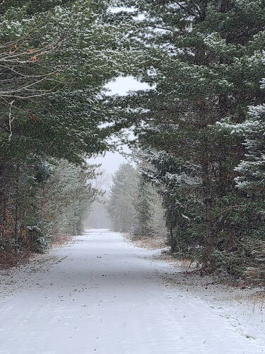 Vanderbilt Trailhead Park