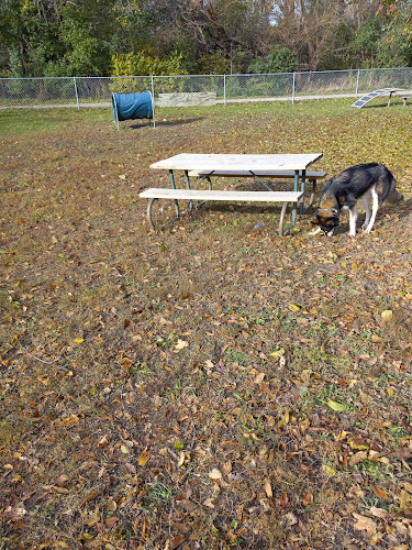 Cotton Park Dog Park