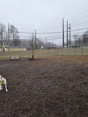 Saxony Dog Park
