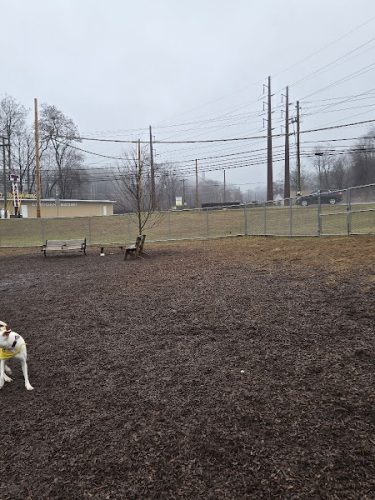 Saxony Dog Park