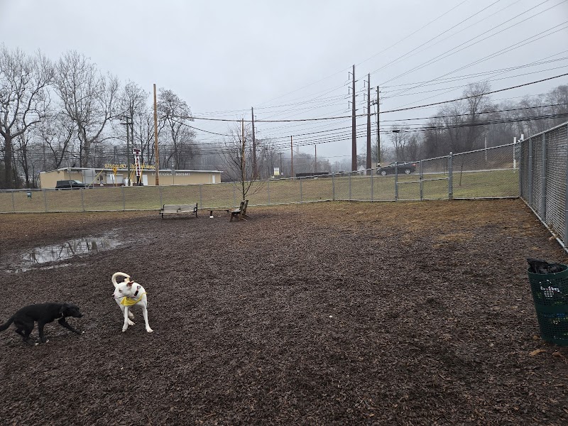 Saxony Dog Park - Vernon, CT