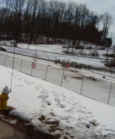 Saxony Dog Park