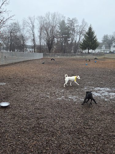 Saxony Dog Park