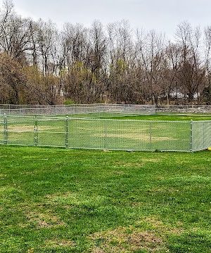 Saxony Dog Park