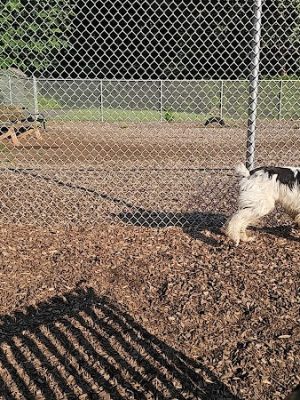 Saxony Dog Park