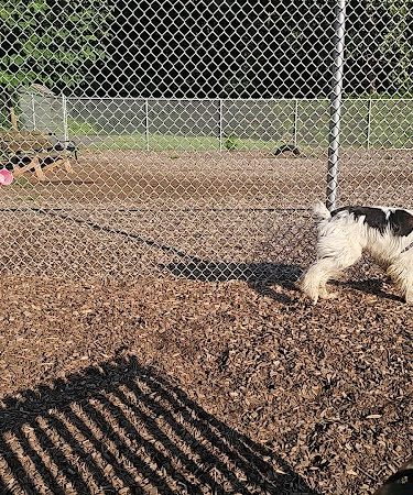 Saxony Dog Park