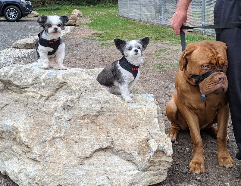 Saxony Dog Park - Vernon, CT