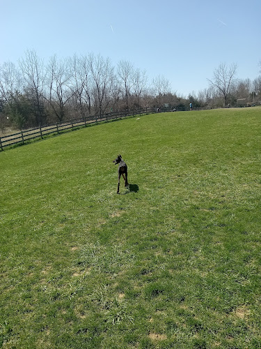 Vernon Dog Park