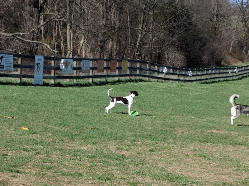 Vernon Dog Park - Vernon Township, NJ
