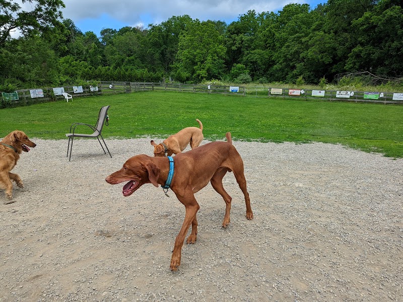 Vernon Dog Park - Vernon Township, NJ