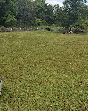 Vernon Dog Park
