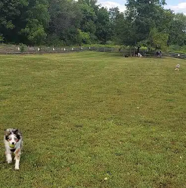 Vernon Dog Park - Vernon Township, NJ