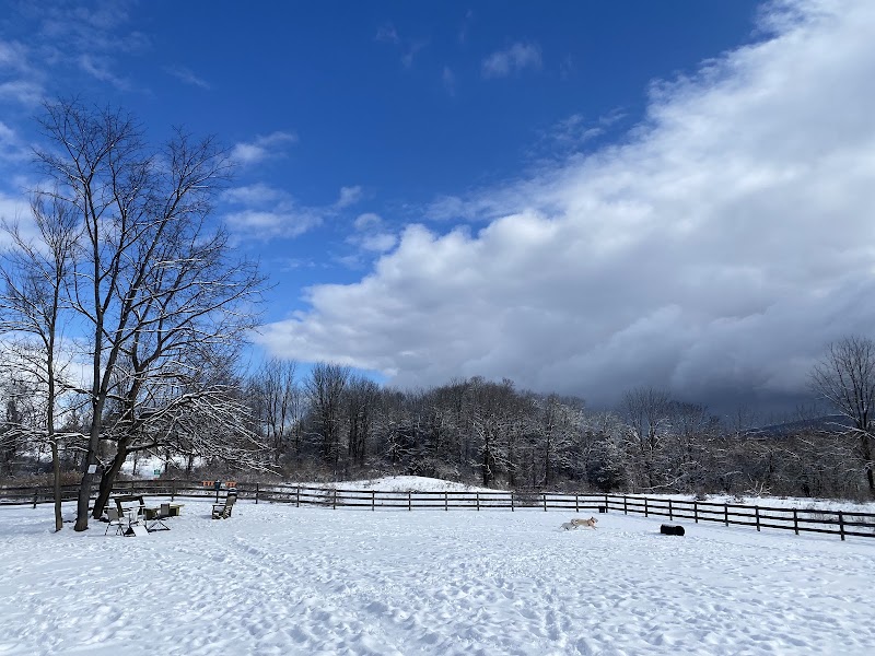 Vernon Dog Park - Vernon Township, NJ