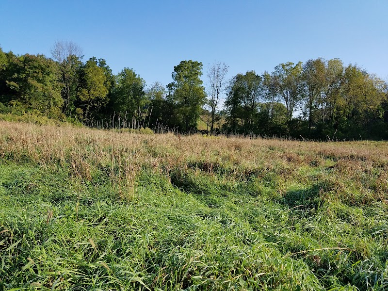 Vernon Dog Park - Vernon Township, NJ
