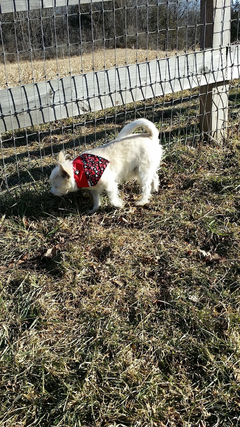 Vernon Dog Park - Vernon Township, NJ