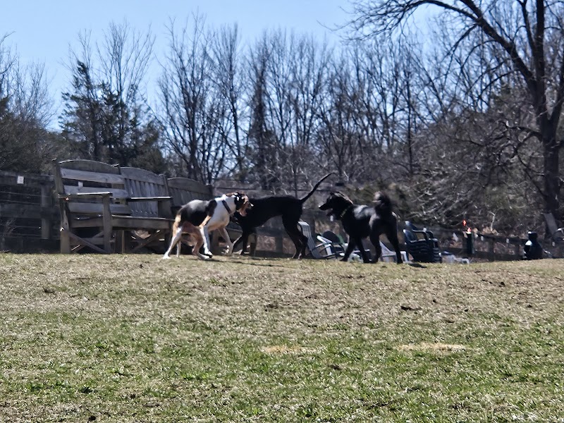 Vernon Dog Park - Vernon Township, NJ