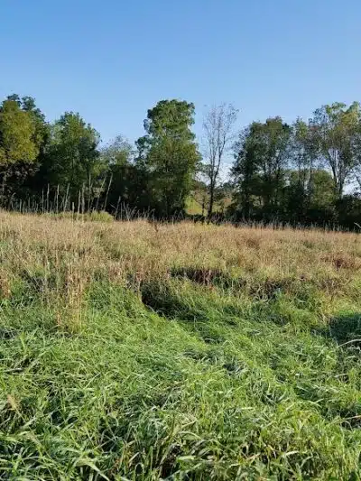 Vernon Dog Park - Vernon Township,