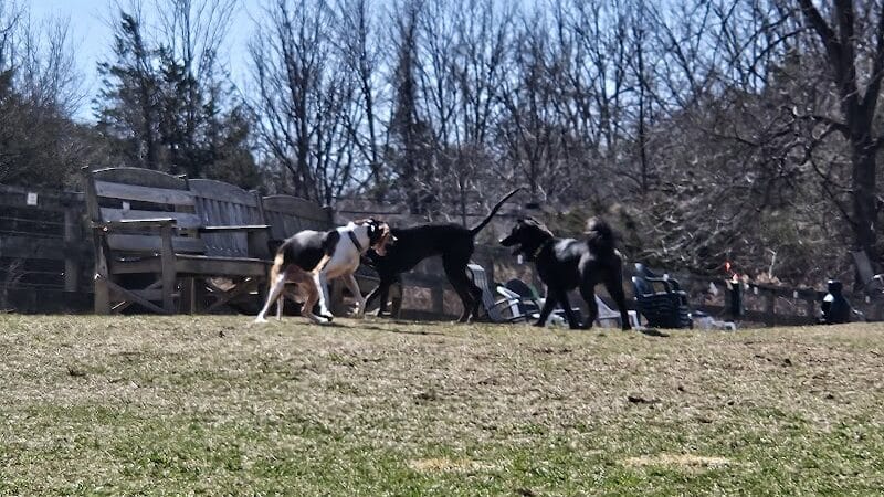 Vernon Dog Park - Vernon Township,