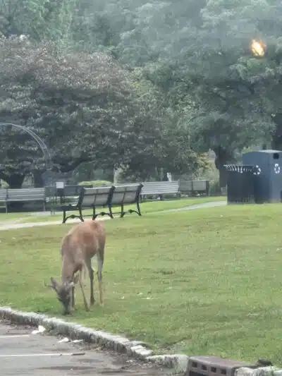 Verona Park - Verona, NJ