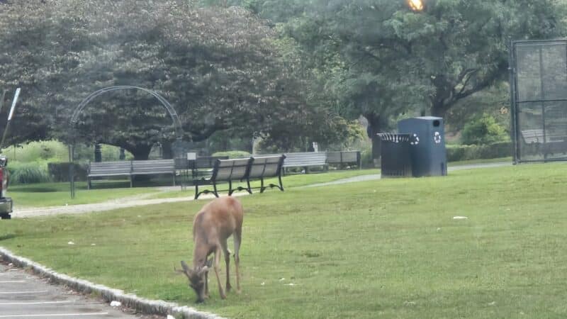 Verona Park - Verona, NJ