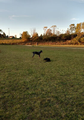 Badger Prairie Dog Park