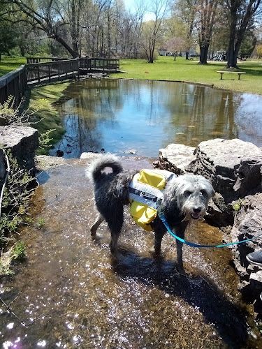 Clark Park
