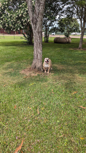 Vicksburg Dog Park