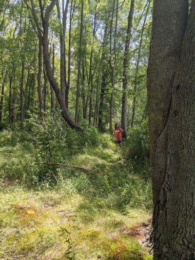 Prairie View County Park - Vicksburg,