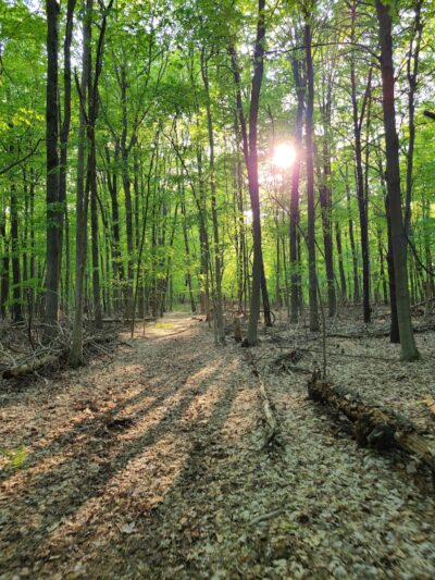 Clintonwood Park - Village of Clarkston, MI
