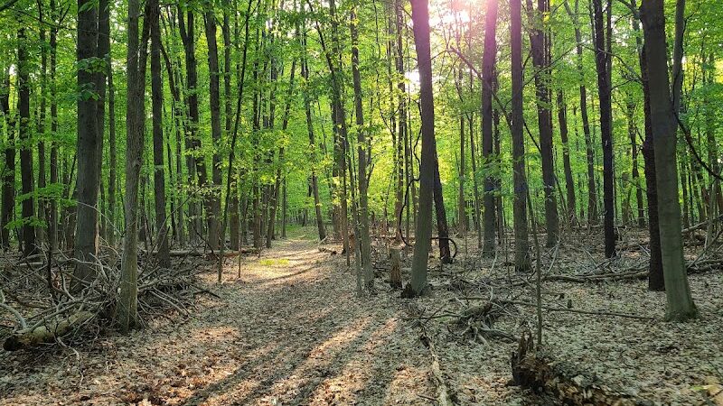 Clintonwood Park - Village of Clarkston, MI
