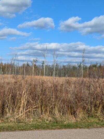 Independence Oaks Trailhead - Village of Clarkston, MI