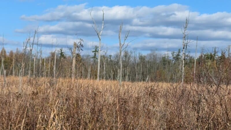 Independence Oaks Trailhead - Village of Clarkston, MI