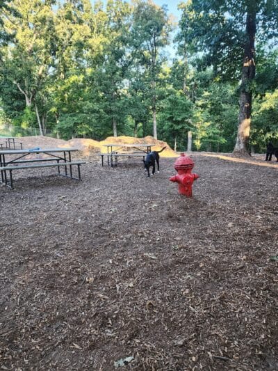 Horseshoe Bend Bark Park - Village of Four Seasons, MO