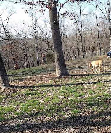 Horseshoe Bend Bark Park - Village of Four Seasons, MO