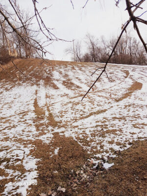 Sledding Hill